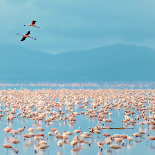 Lake Manyara